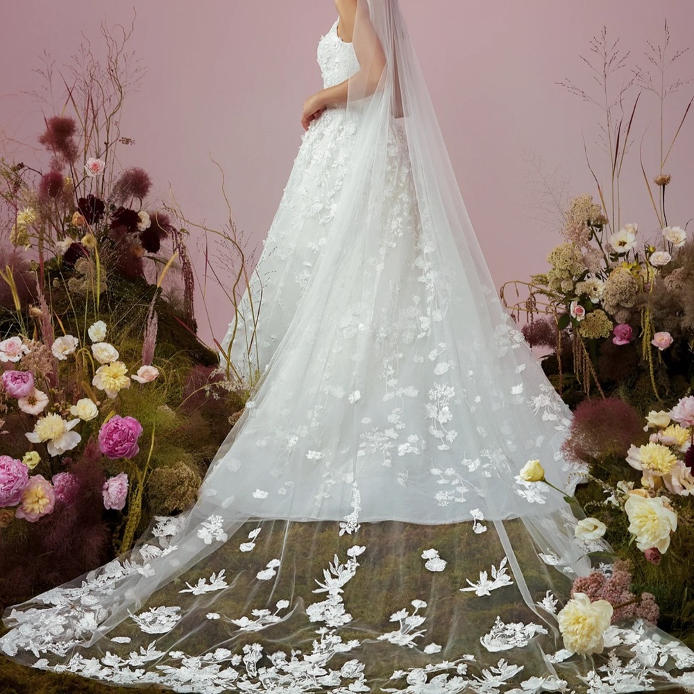 Anne Barge Poetic Light Veil